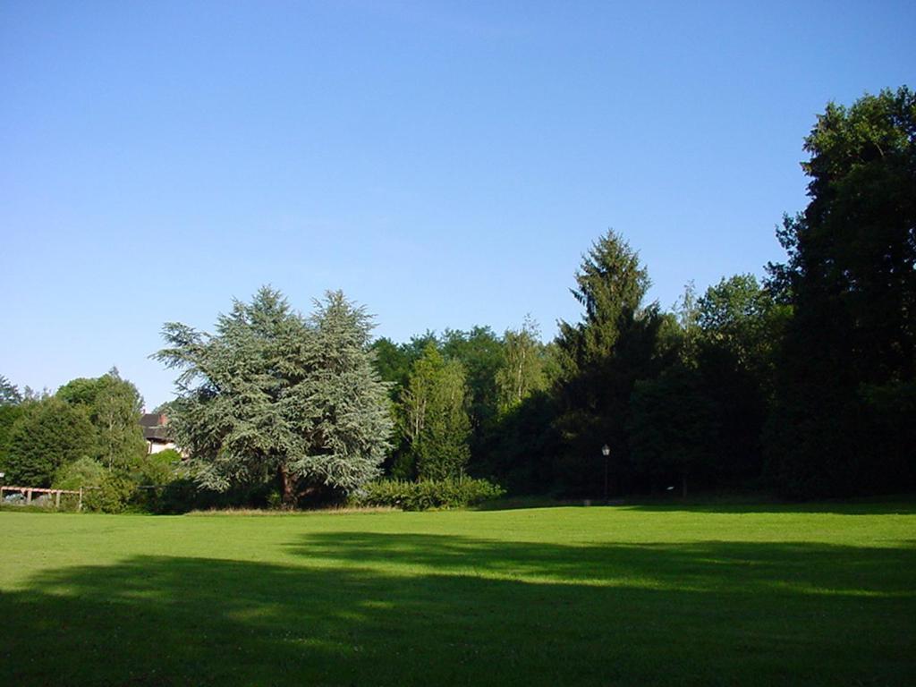 Chambres D'Hotes " Le Magnolia " (Adults Only) Sainte-Croix-aux-Mines Bagian luar foto