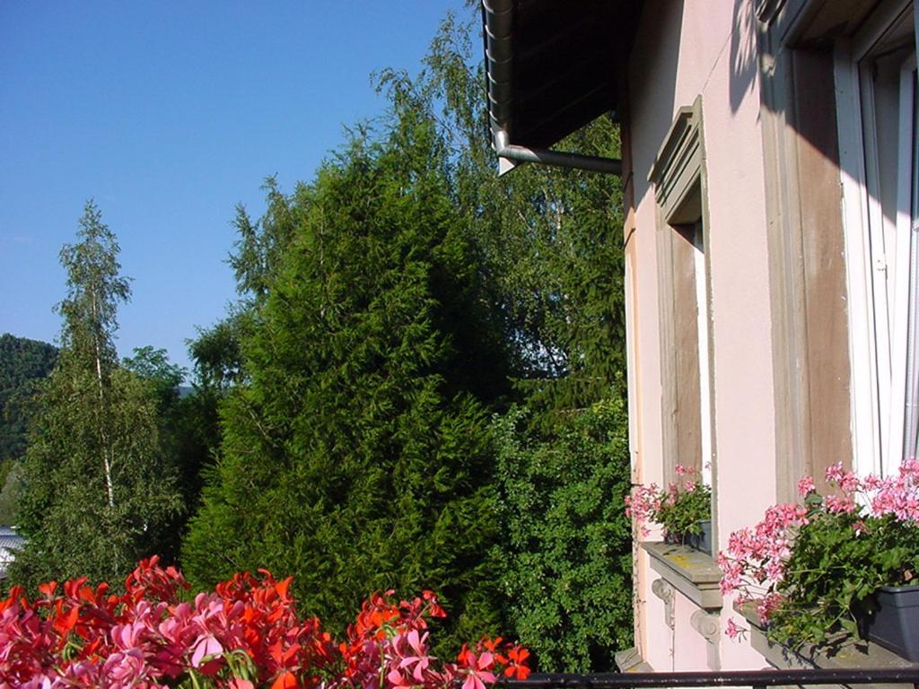 Chambres D'Hotes " Le Magnolia " (Adults Only) Sainte-Croix-aux-Mines Bagian luar foto