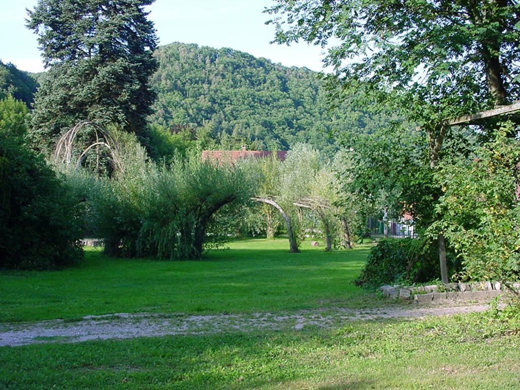 Chambres D'Hotes " Le Magnolia " (Adults Only) Sainte-Croix-aux-Mines Bagian luar foto