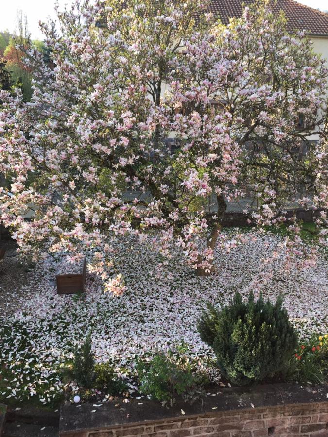 Chambres D'Hotes " Le Magnolia " (Adults Only) Sainte-Croix-aux-Mines Bagian luar foto