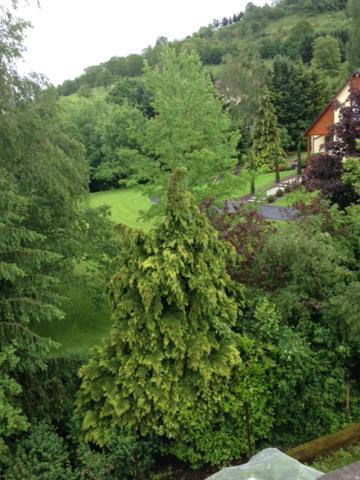 Chambres D'Hotes " Le Magnolia " (Adults Only) Sainte-Croix-aux-Mines Bagian luar foto