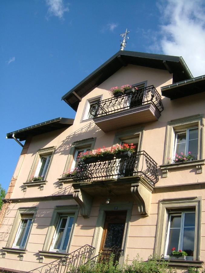 Chambres D'Hotes " Le Magnolia " (Adults Only) Sainte-Croix-aux-Mines Bagian luar foto