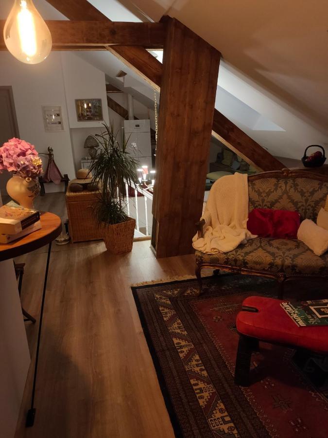 Chambres D'Hotes " Le Magnolia " (Adults Only) Sainte-Croix-aux-Mines Bagian luar foto